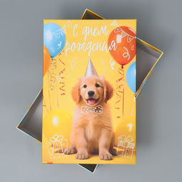 Коробка подарочная прямоугольная, упаковка, «С днём рождения», 24×15.5×9.5 см