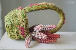 064 Суккулент 4