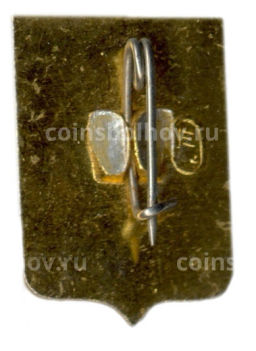 Значок Владимир