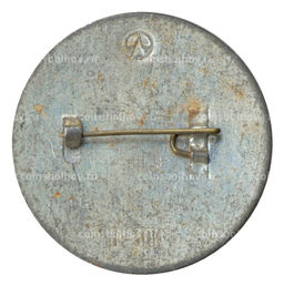 Значок Павильон К.Росси в Михайловском саду