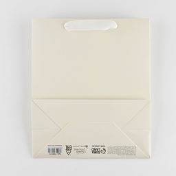 Цена за 2 шт. Пакет подарочный ламинированный, упаковка, Молочный, ML 23 х 27 х 11.5 см - UPAK LAND фото 4