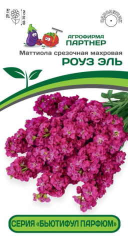 Маттиола срезочная махровая Бьютифул Парфюм Роуз Эль - Партнер фото 2