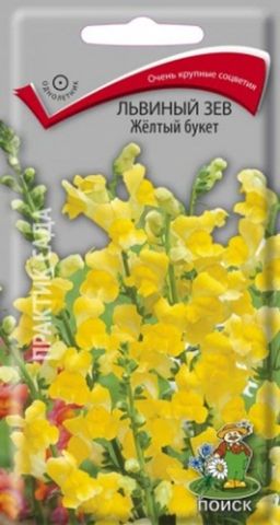 Львиный зев (Антирринум) Жёлтый букет (ЦВ ) (1) 0,1гр.