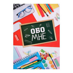 Папка школьная на кольцах «Портфолио школьника», 10 листов-разделителей, 24.5×32 см