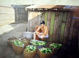 Огурцы Аксельские от Помидома - Дом помидоров фото 4