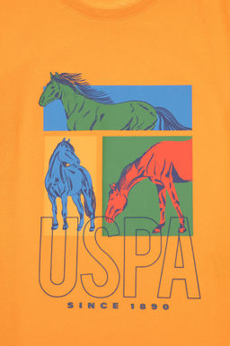 Erkek _ocuk Turuncu Ti__rt Sepette S_rpriz _ndirim - U.s. polo assn фото 3