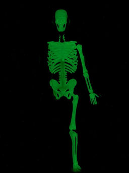 Набор для опытов по анатомии Строение тела, светится в темноте, с мягкими органами - Эврики фото 18