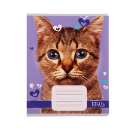 Цена за 20 шт. Тетрадь 18 листов в линию Calligrata "Домашние животные", обложка мелованный картон, ВД-лак, блок офсет, белизна 95%, МИКС