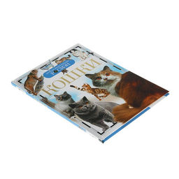 Цена за 2 шт. Детская энциклопедия «Кошки»