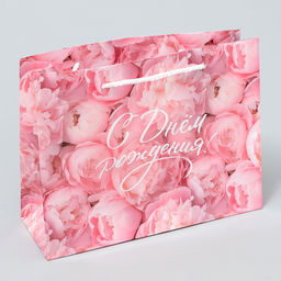 Цена за 2 шт. Пакет подарочный ламинированный, упаковка, «С Днём рождения!», MS 23 х 18 х 8 см