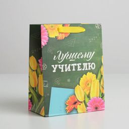 Пакет ламинированный вертикальный Лучшему Учителю, MS 18 23 10 см - Дарите счастье фото 8