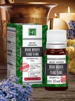 Клубника открытка 1.3 мл. Царство ароматов - Крымские сказки фото 24