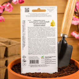 Семена цветов Катарантус амп. Медитерранен, абрикосовый, 7 шт