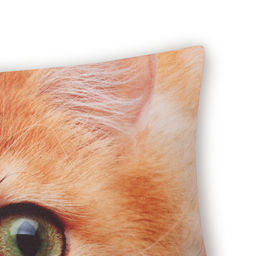 Подушка декоративная Этель Золотистая шиншилла 40х40 см, габардин, 100% п/э  фото 2