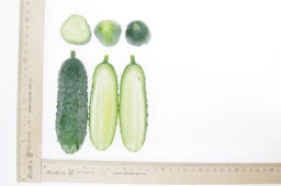 Огурец пчелоопыляемый Спринт - Партнер фото 4