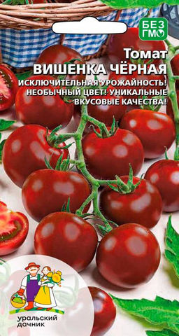Томат ВИШНЯ ЧЁРНАЯ Исключительная урожайность! Необычный цвет! Уникальные вкусовые качества!