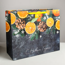 Пакет ламинированный горизонтальный Мандарины, XL 49 40 19 см