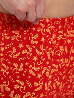 Трусы-боксеры, модель 212, трикотаж (46 размер, Ностальжи)