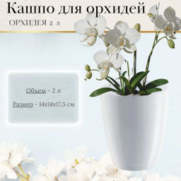 Горшок для цветов "ОРХИДЕЯ" 2л, БЕЛЫЙ (ОРХ 2 БЕЛ) /Крассула/