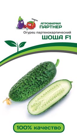 Огурец партенокарпический Шоша