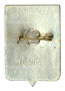 Значок Боровичи