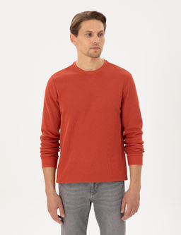 Kahverengi Regular Fit Sweatshirt