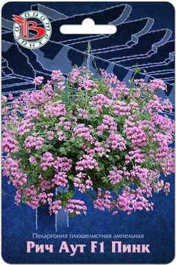 Пеларгония плющелистная ампельная Рич Аут F1 Пинк