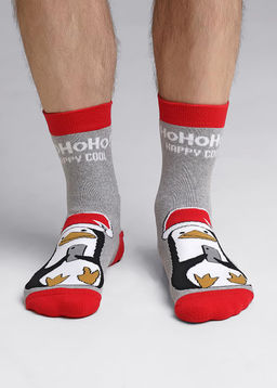 (CLE) К3351П носки муж. НГ плюш