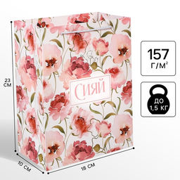 Пакет подарочный «Сияй»,18×23×10 см, упаковка, Принцессы