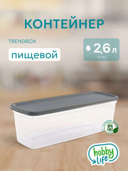 Контейнер пищевой TRENDBOX прозрачный 2.6л длинный высокий