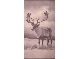 Полотенце махровое 6с102.413ж1 Фото-олень(т.с.мальв1) 81х160см