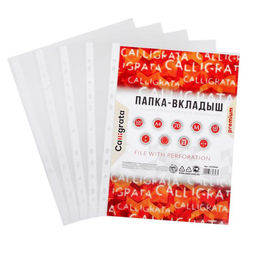 Файл - вкладыш Calligrata, А4, 60 мкм, плотные, матовый, вертикальный, 100 штук  фото 2
