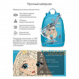RG-263-2 Рюкзак школьный
