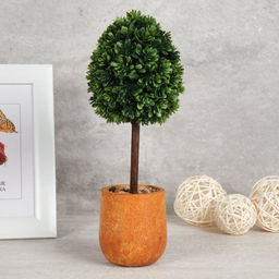 Цветочная композиция Зелень самшит 33 см / 9090-8 /уп 12/ - Галеонтрейд фото 2