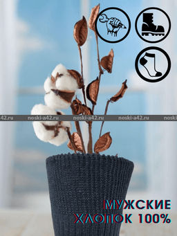 Цена за 10 пар. Киреевские носки+ мужские с-19 29  фото 27