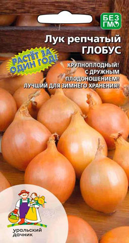 Лук репчатый ГЛОБУС  Растёт за один год! Крупноплодный! С дружным плодоношением! Лучший для зимнего хранения!