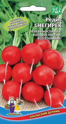 Редис СНЕГИРЁК  Всесезонный! Плотный, хрустящий!