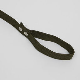 Поводок брезентовый, 1,6 м х 3 см - Пижон фото 3