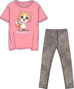 Футболка+легинсы 2ДДР5705001н