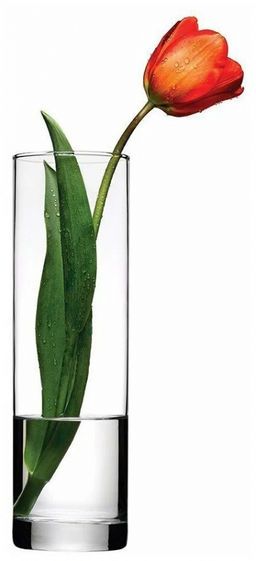 FLORA Ваза Цилиндр h= 265 мм, арт.43767 SL (1013291)