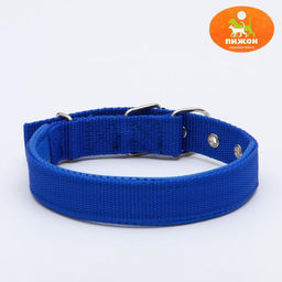 Ошейник Комфорт комбинированный, 55 х 2,5 см, ОШ 40-50 см, синий