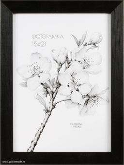 Фоторамка 15х21 / ZR208B-22 /уп10