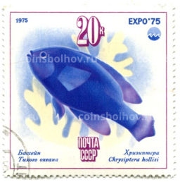Марка Бассейн Тихого океана  Хризиптера 1975 год