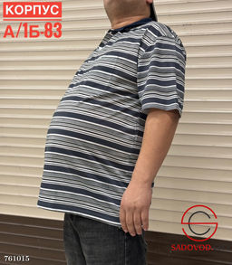 Мужская футболка в полоску