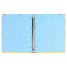 Папка школьная на кольцах «Портфолио дошкольника», без разделителей, 24.5×32 см