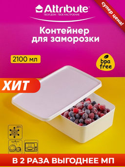 Контейнер для заморозки ALASKA 2.1л белый