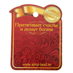 Цена за 2 шт. Монета сувенир «Счастливый пятак», d=2,5 см.