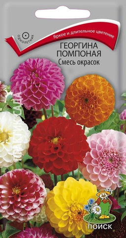 Георгина помпонная Смесь окрасок 0,3г (Поиск)