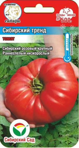 Сибирский тренд томат 20шт (сс)