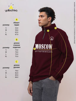 Толстовка мужская с зип-воротником "Moscow" бордо